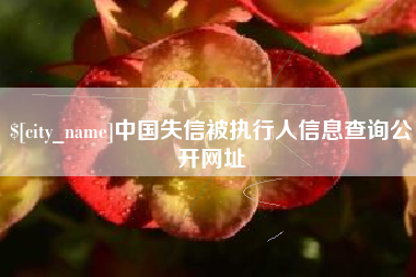 贵阳中国失信被执行人信息查询公开网址