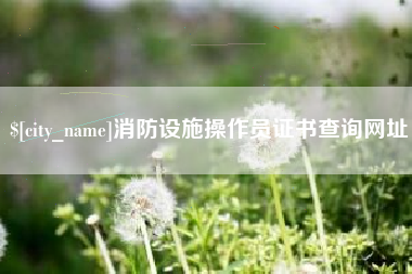 贵阳消防设施操作员证书查询网址
