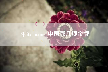 贵阳中国哪几项金牌