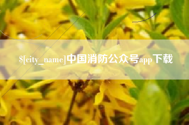 贵阳中国消防公众号app下载