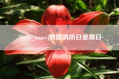 贵阳我国消防日是哪日