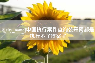 贵阳中国执行案件查询公开网都是执行不了得案子