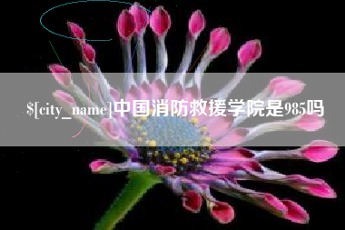 贵阳中国消防救援学院是985吗