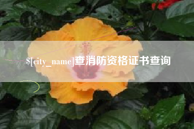 贵阳查消防资格证书查询