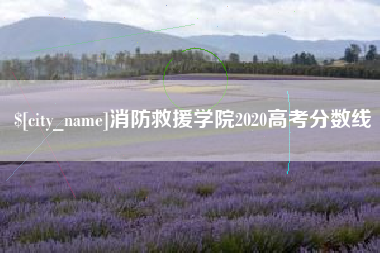 贵阳消防救援学院2020高考分数线