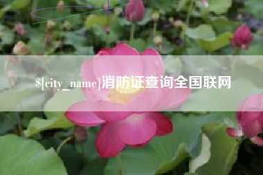 贵阳消防证查询全国联网