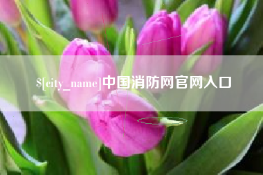 贵阳中国消防网官网入口