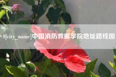 贵阳中国消防救援学院地址路线图