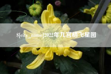 贵阳2022年九宫格飞星图