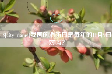 贵阳我国的消防日是每年的11月9日对吗？