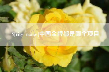 贵阳中国金牌都是哪个项目