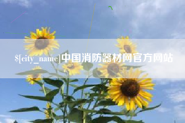 贵阳中国消防器材网官方网站