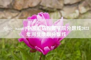 贵阳中国消防救援学院分数线2023年河北录取分数线