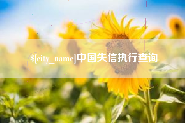 贵阳中国失信执行查询