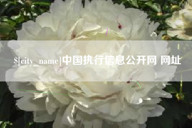 贵阳中国执行信息公开网 网址