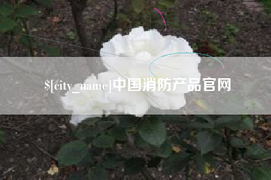 贵阳中国消防产品官网