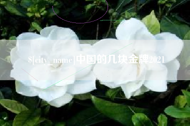 贵阳中国的几块金牌2021
