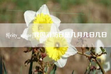 贵阳我国消防日是几月几日几日