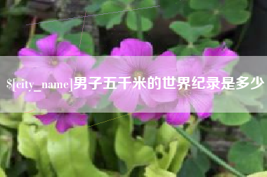 贵阳男子五千米的世界纪录是多少