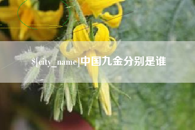 贵阳中国九金分别是谁