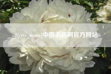 贵阳中国消防网官方网站