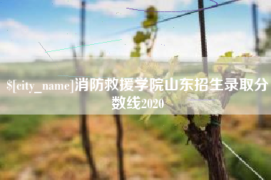 贵阳消防救援学院山东招生录取分数线2020