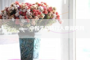 贵阳中国失信执行人查询官网