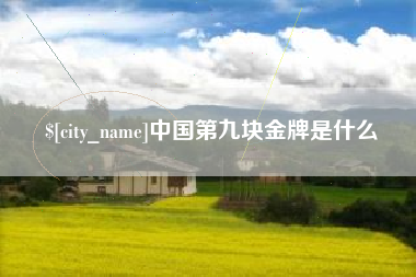 贵阳中国第九块金牌是什么