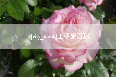 贵阳王子豪百科