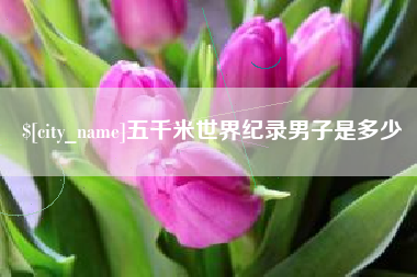 贵阳五千米世界纪录男子是多少