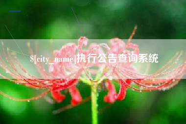 贵阳执行公告查询系统