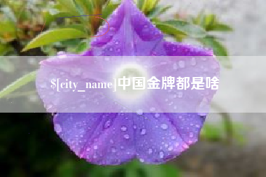 贵阳中国金牌都是啥