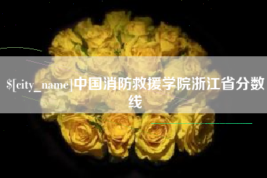 贵阳中国消防救援学院浙江省分数线