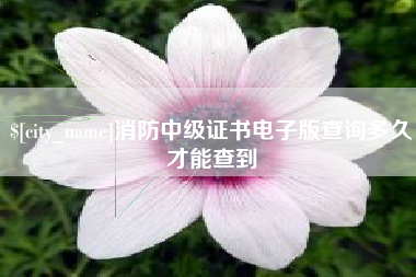 贵阳消防中级证书电子版查询多久才能查到