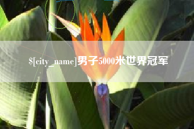 贵阳男子5000米世界冠军
