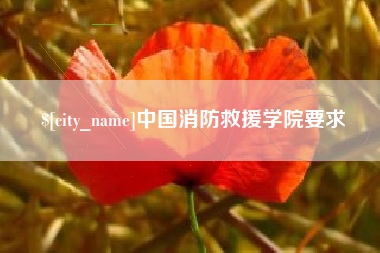 贵阳中国消防救援学院要求