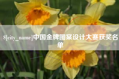 贵阳中国金牌图案设计大赛获奖名单