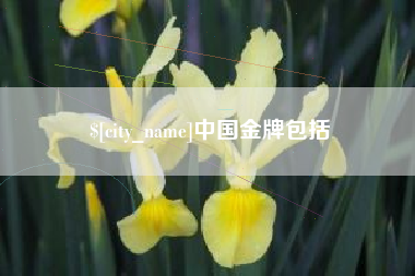 贵阳中国金牌包括