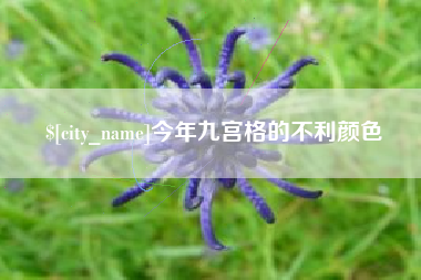 贵阳今年九宫格的不利颜色