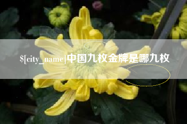 贵阳中国九枚金牌是哪九枚