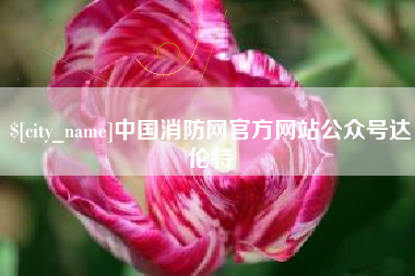 贵阳中国消防网官方网站公众号达伦特