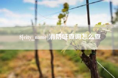 贵阳消防证查询怎么查