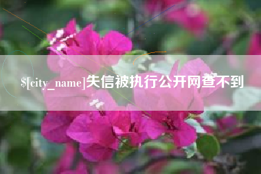 贵阳失信被执行公开网查不到