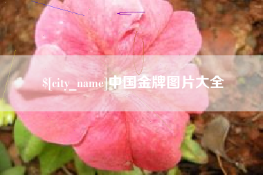 贵阳中国金牌图片大全