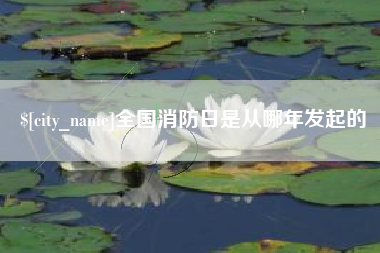贵阳全国消防日是从哪年发起的