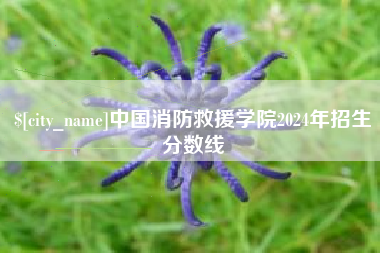 贵阳中国消防救援学院2024年招生分数线