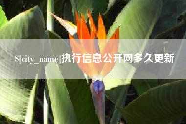 贵阳执行信息公开网多久更新