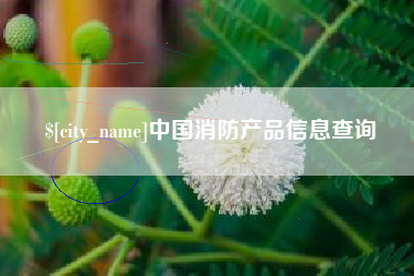 贵阳中国消防产品信息查询