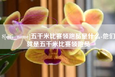 贵阳五千米比赛领跑员是什么-他们就是五千米比赛领跑员