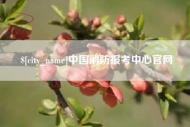 贵阳中国消防报考中心官网